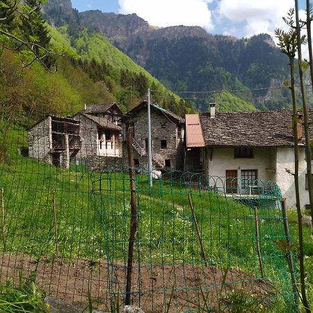 Il Fiume Di Fianco. Appartamento Alta Valsesia Mollia Экстерьер фото