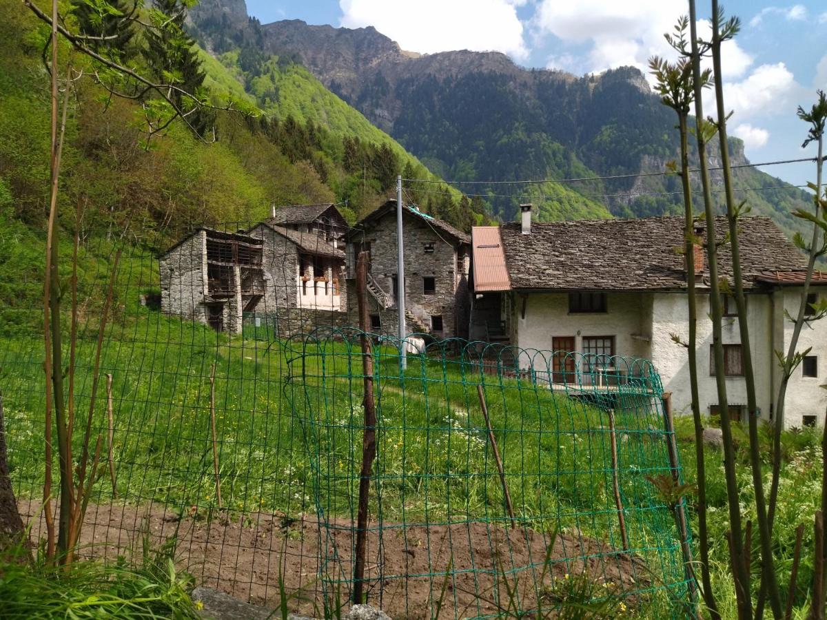 Il Fiume Di Fianco. Appartamento Alta Valsesia Mollia Экстерьер фото